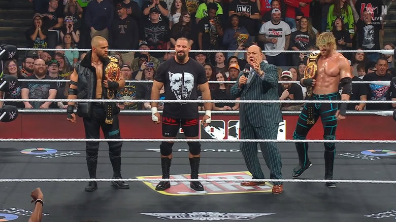 The Vision in the ring